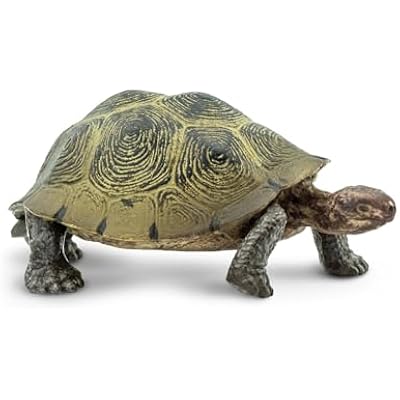 Safari Ltd. Desert Tortoise Figurine - Lifelike 3.25 Wildlife Figure - Educational Toy for Boys, Girls, and Kids Ages 3