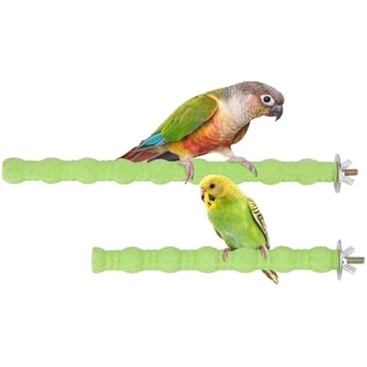 Hypeety 2PCS Bird Wood Perch Stand Parrot Paw Grinding Stick Toy Pet Bird Cage Stand Platform for Bird Parrot Budgies Parakeet Cockatiels Cage Accessories 7in10in Green