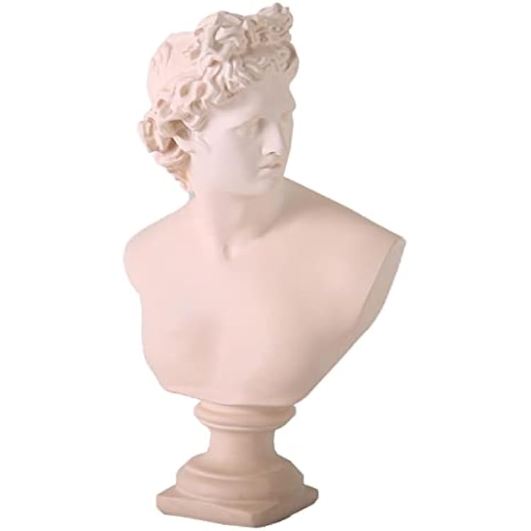 Classic David Statue Bust Apollo Bust Statue Resin Statue Replica Sculpture Figurine Home Decor Resin Crafts for Sketch Practice Artist