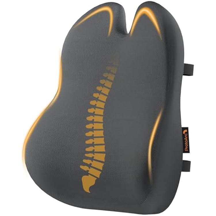 ProtoArc Lumbar Support Pillow for Office Chair, Memory Foam Back Support Pillow for Lower Back Fatigue Relief, Lumbar Pillow Desk Chair Back Cushion, Ergonomic Back Rest for Chair - Dark Gray