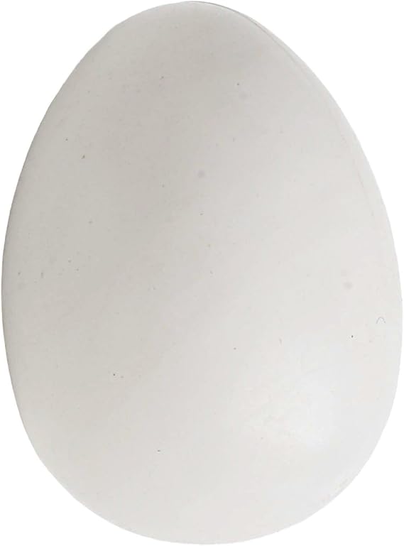 Fake Pigeon Eggs for Hatching Practice Pack of 12 Lightweight Replicas