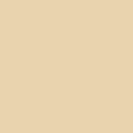 LATICRETE Latasil High Performance Silicone Sealant, Butter Cream #81