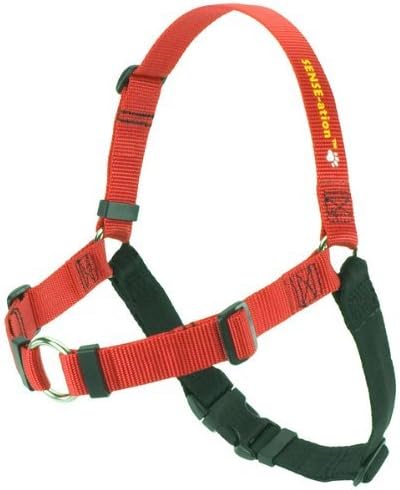 Softouch Sense-ation No-Pull Dog Harness (Red, Extra Small)