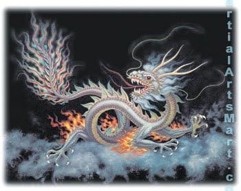 Tiger Claw Martial Arts T-Shirt - Dragon (White)
