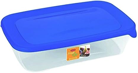 Curver "Fresh & Go" Rectangular 33.8 oz Food Container, Transparent/Blue