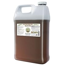 Hawaii Pharm Bai Zi Ren Alcohol-Free Liquid Extract, Bai Zi Ren, Biota (Platycladus Orientalis) Seed Glycerite Natural Herbal Supplement 64 oz