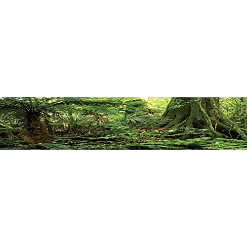 Reptile Habitat Background; Rain Forest, Compatible with Zoo Med 40 gal. 36Lx18Wx18H Terrarium, 3-Sided Wraparound
