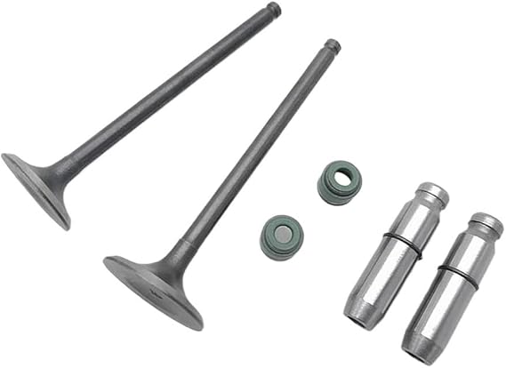 Motorcycle Engine Valve Intake Stem Valve Fit For SDH150 CBX150 CBF150 XR150 KTT150 150cc