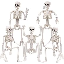XIMISHOP 5pcs Halloween Skeleton Decoration, 16" Full Body Posable Hanging Skeleton with Movable Joints for Graveyard Haunted House Indoor Outdoor, White