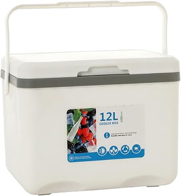 Cooler for Cadillac Series Seventy-FiveSeries SixtySevilleSRX Insulated Hard Ice Box Large High-Performance Storage Box Portable Cool Picnic Box Festival Camping,A-31.5  23  25.5cm