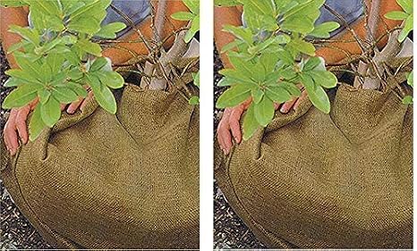 Dewitt 3-Foot by 48-Foot Burlap NB348 (Pack of 2)