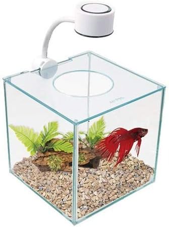 Marina CUBUS Glass Betta Kit Elegant Glass Aquarium for Homes or Offices