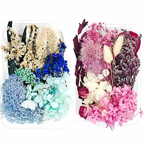 2 Pack Real Natural Dried Flowers for Candle Making Dry Flowers for Art Craft Mixed Pink and Purple Dried Flowers for Soap Candle Scrapbooking DIY Resin