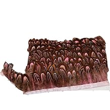 KOLIGHT Pack of 10 Yards Fashion Natural Dyed Pheasant Feather Trim Fringe 2inch in Width DIY Decoration (Coffee)