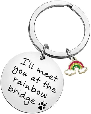 Keychain, Ill Meet You at The Rainbow Bridge, Pet Memorial Gift, Pet Loss Gift, Pet Sympathy Gift for Dog Lovers, Remembrance Gift for Pet Owner with Rainbow Charm
