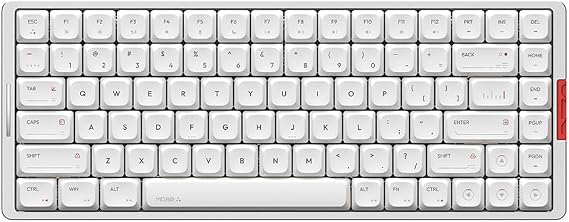 IQUNIX MQ80 Moonlight Silver RGB Kablosuz Hotswap Mekanik Gaming Klavye