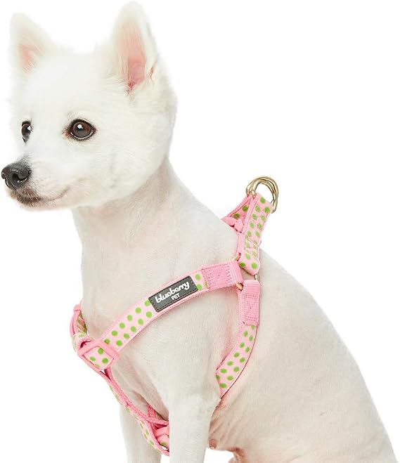 Blueberry Pet 4 Patterns Step-in Velvety Polka Dot Flocking Dog Harness in Baby Pink, Chest Girth 16.5" - 21.5", Small, Adjustable Harnesses for Dogs