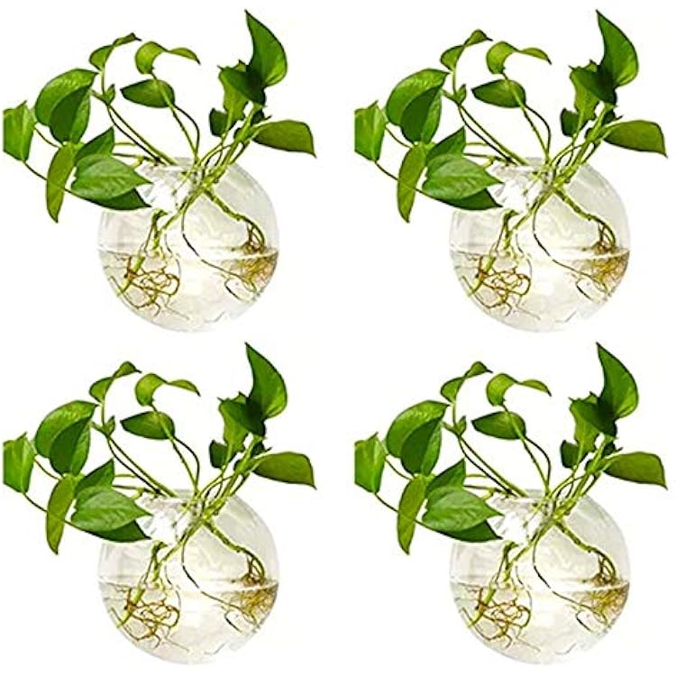 NUPTIO Wall Hanging Planters Terrarium: 4Pcs Clear Glass Wall-Mounted Vases for Indoor Office Garden Living Room - Oblate Plant Pots Hydroponic Containers Propagation Stations for Flowers