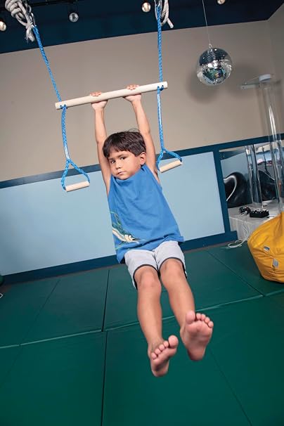 Abilitations Integrations Monkey-Swing Vestibular Orientation