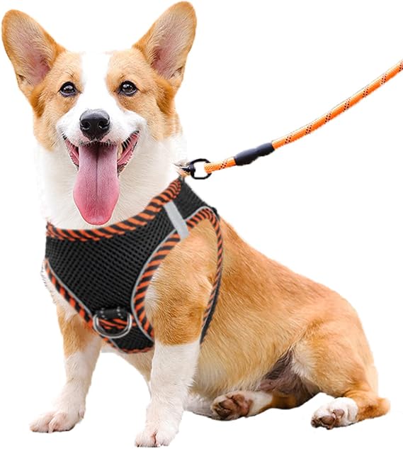 Step-in Reflective Harness Easy-on Easy-off 2-Layer Soft Mesh Vest with ID Tag Holder for Medium Dogs Daily Use,Black with Orange