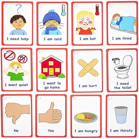 My Essential Needs Cards 12 Flashcards for Visual aid Special Ed, Speech Delay Non Verbal Children and Adults with Autism or Special Needs