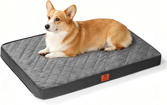 Orthopedic Egg Crate Foam Small Medium Dog Bed