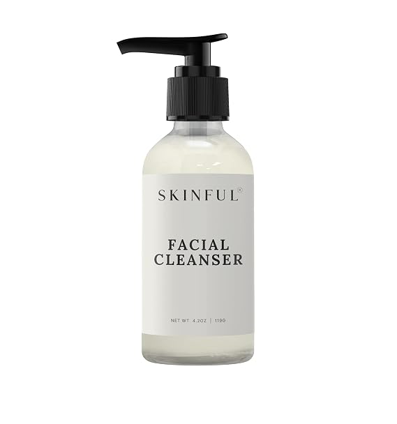 Skinful Gentle Facial Cleanser Face Wash for All Skin Types, 4oz | Deep-Penetrating Skin Cleanser