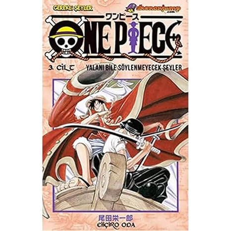 ONE PIECE 3: Things You Can't Even Lie About