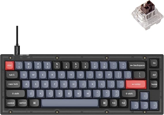 Keychron V2 Wired Custom Mechanical Keyboard, 65% Layout QMK/VIA Programmable Macro with Hot-swappable K Pro Brown Switch Compatible with Mac Windows Linux (Frosted Black - Translucent)