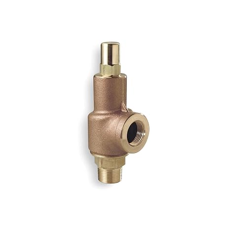 69B1-250 Series 69 Liquid Relief Valve, 250 psi, 3/4" x 3/4"