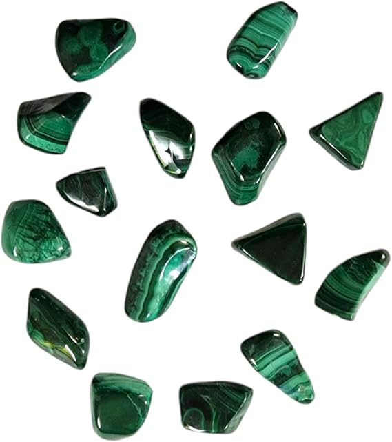 GeoFossils Malachite Large Tumbled Stone