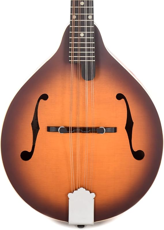 Recording King RAM-3-TS Dirty 30's A-Style Mandolin