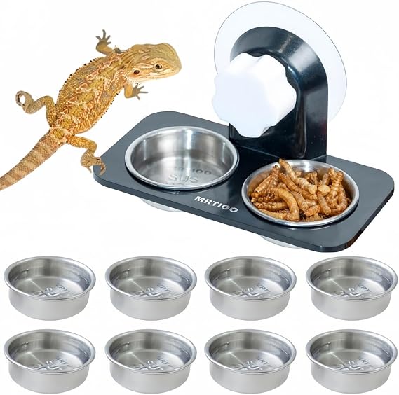 0,5 oz Bardaklar, Sürüngen Amfibi Gıda Kaseleri ve Tepeli Gecko, Kertenkele veya Diğer Küçük Evcil Hayvan Besleyici Çıkıntı Aksesuarları Malzemeleri (SUS 10 Bardak)