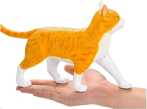 Medical Models, Anatomy Model Cat Anatomical Model,4D Vision Tabby Orange Cat Skeleton Anatomical Model,Medical Teaching Model Cat Anatomy Model,for Teaching