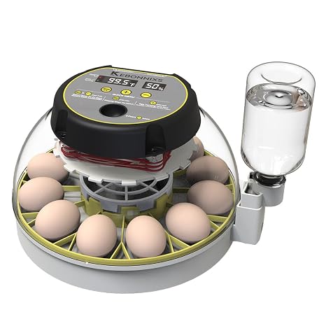 KEBONNIXS 12 adet nem göstergeli yumurta kuluçka makinesi, yumurta mumu, otomatik yumurta çevirici, tavuk yumurtalığı için