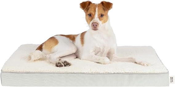 Best Pet Supplies Orthopedic Dog Bed with Memory Foam, Washable Dog Crate Mat for Small, Medium & Large Dogs, Thick Mattress for Crates, Kennels or Floor, Waterproof Pet Bed - Beige, 35 x 22 x 4