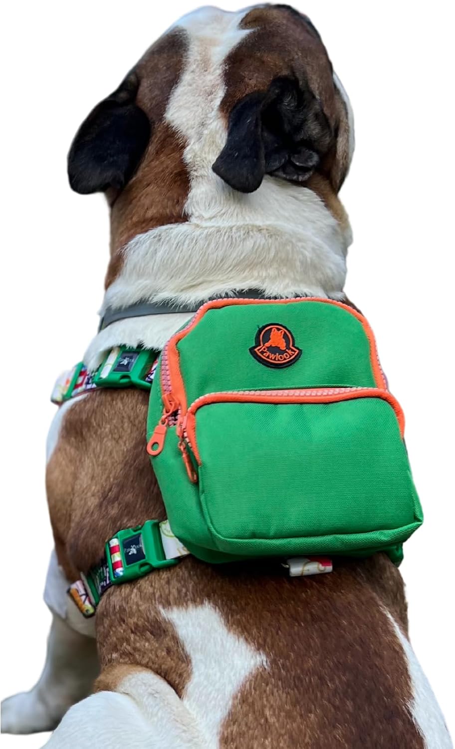 Gimme Five Yeşil Çantalı Göğüs Tasması, Köpek Sırt Çantası – Göğüs Tasması İşlevli, Geri Dönüştürülmüş Malzeme, Ayarlanabilir, Çok Cepli, 5 Renk Seçenekli, Şık ve Fonksiyonel Recycled