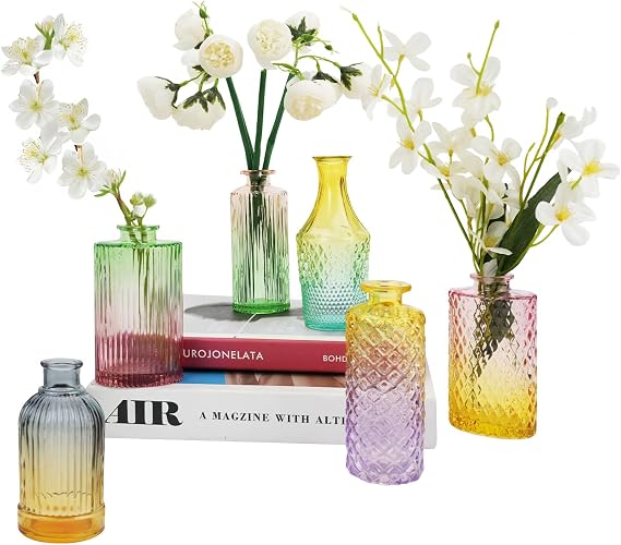 6PCS Glass Bud Vase Set, Small Vases for Flowers, Vintage Vases in Bulk for Centerpieces, Mini Colorful Glass Vase for Rustic Wedding Decorations Vintage Look Home Table Decor
