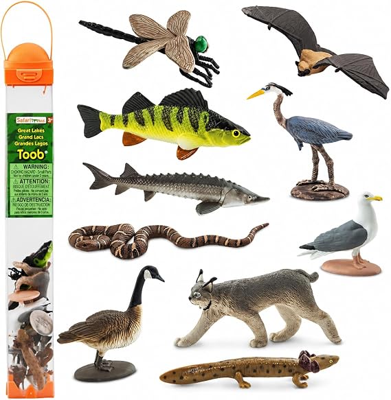 Safari Ltd. Great Lakes TOOB - Figurines of Mudpuppy, Dragonfly, Water Snake, Bat, Goose, Herring Gull, Blue Heron, Lynx, Sturgeon, Yellow Perch - Educational Toys for Boys, Girls & Kids Ages 3+