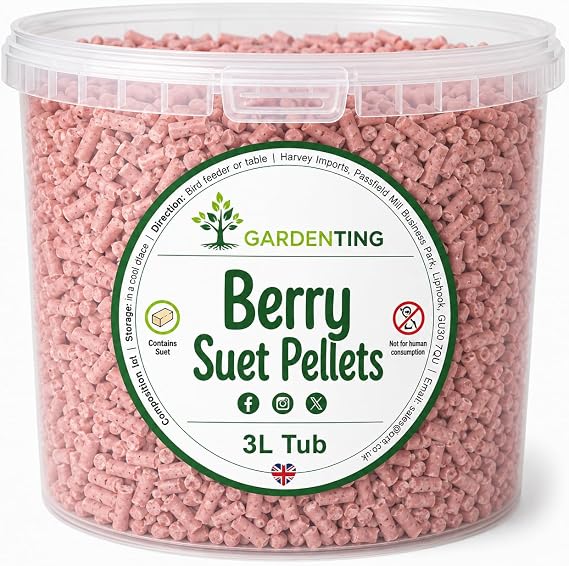 Garden Ting Premium Berry Suet Pellets, 3 Litre