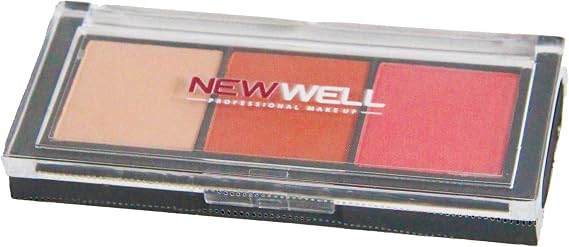 New Well 3 Pcs Eyeshadow Palette No: 01 Göz Farı Paleti