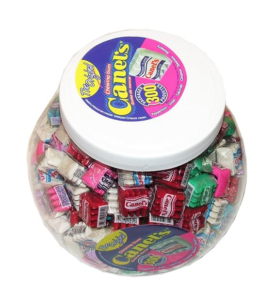 Canel's Chewing Gum - 300 Count