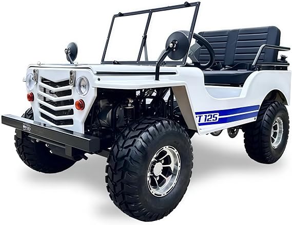 SYX MOTO 125cc Go Kart 4-Wheeler, 3-Speed Manual Transmission, 2 Seat, Electric/Kick Start, 35 MPH Top Speed for Teens & Adults, Maximum Load 300 Lb, with Spare Fuel Tank and Spare Tire (White Blue)