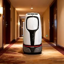 Automated Delivery Robot, Smart Hotel Service Robots for Food Water Personal Items, Perfect for Offices and Commercial Restaurants