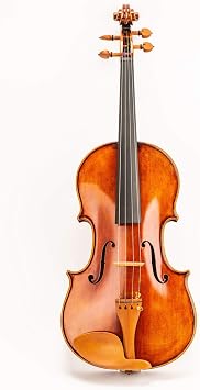 Antique 1/2 Violin D Z Strad Model 220 with Open Clear Tone