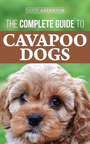 The Complete Guide to Cavapoo Dogs: Everything you need to know to successfully raise and train your new Cavapoo puppy