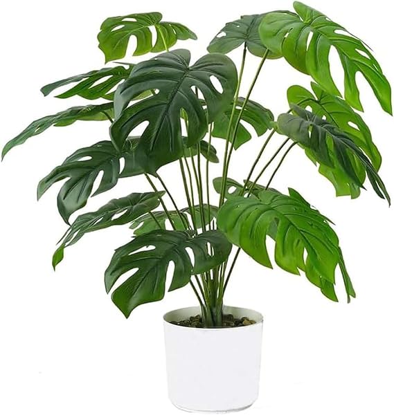 Laelfe Artificial Monstera Plant in Pot (55 cm, 12 Leaves) | Fake Tropical Palm Plants Faux Plant for Indoor Outdoor Home Bedroom Living Room Office Table Decor