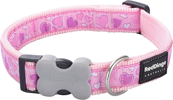Red Dingo Designer Collar - Breezy Love Pink - Large