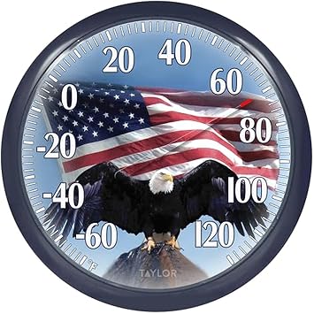 Taylor Bald Eagle Indoor Outdoor Dial Thermometer, Easy to Read Wall Decor for Patio, Pool, Yard, Garden or Garage, 12x14-inch, Charcoal Bezel