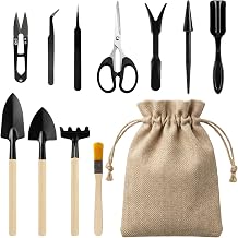 12 Pcs Bonsai Tools, Small Gardening Tools Set for Succulent Plant Transplanting, Mini Fairyland Garden Plant Care for Digging, Transplanting and Weeding, Indoor & Outdoor